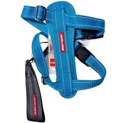 EzyDog Chest Plate Harness for dogs in teal with no-pull design and adjustable straps