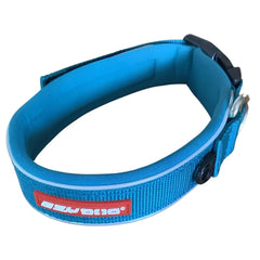 EzyDog Neo Classic dog collar in teal with reflective detailing for safety