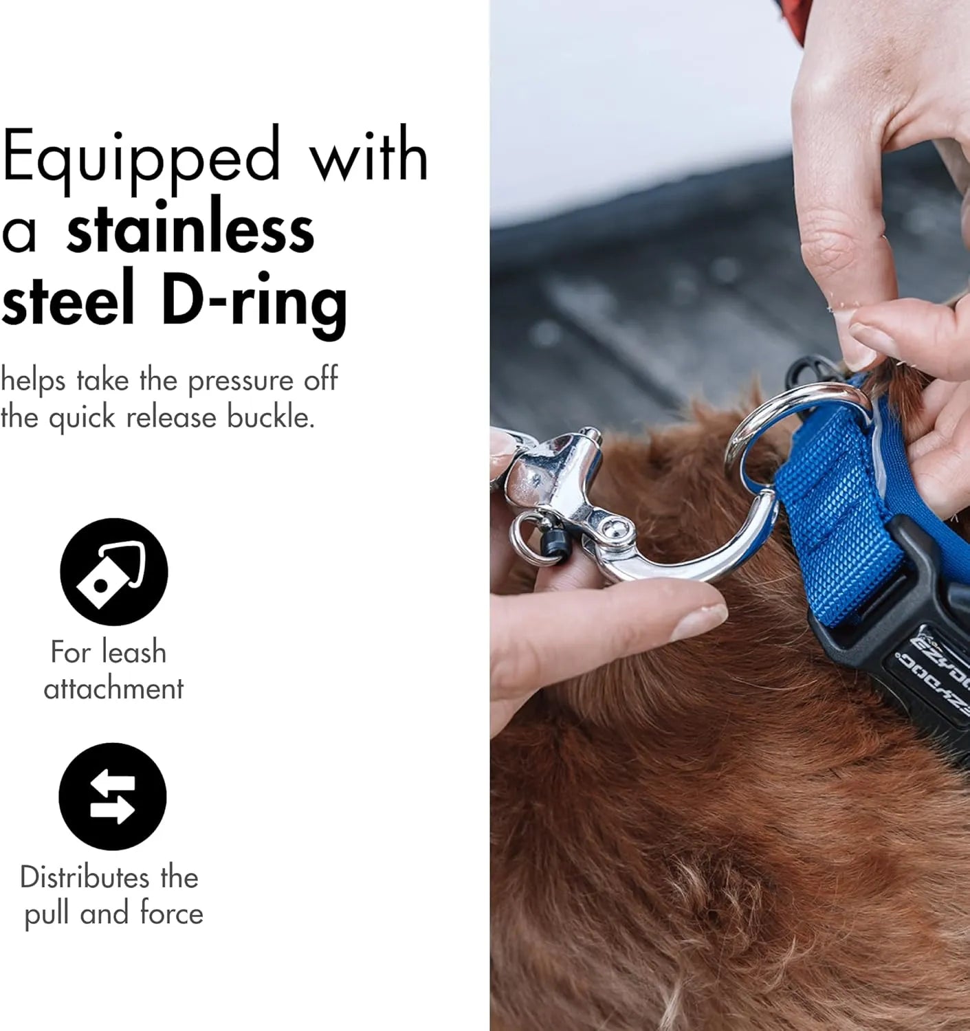 Durable and soft EzyDog Neo Classic dog collar with quick-release buckle
