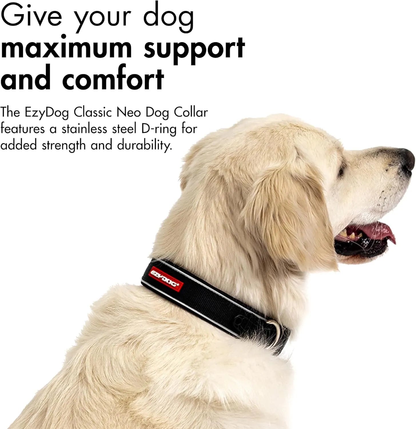 EzyDog Neo Classic teal dog collar with neoprene padding for comfort
