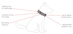 Various features of the Premium EzyDog Neo Classic dog collar for secure and comfortable wear
